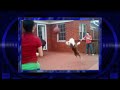 AFV Video Remix Season 22 Episode 17