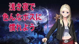 浅き夜に慣れよう　steam版