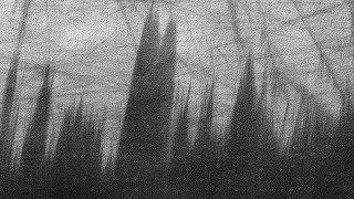 Shapednoise - Enlightenment