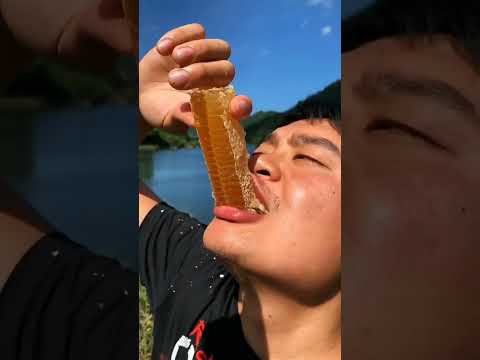 Honey eating #shorts part 1 | Satisfying Video | Tiktok China