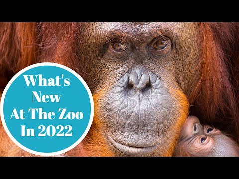 What's New For 2022 At Zoo Tampa!