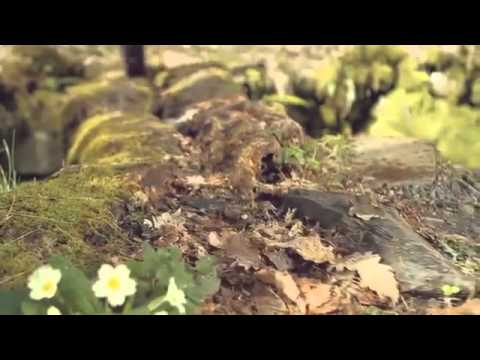 Electric Trials Biking through Spain - Silent Ride with Adam Raga650