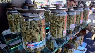 Tips for entering the retail cannabis market