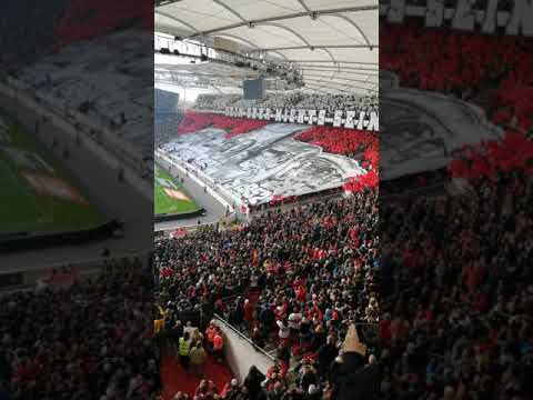 VfB : Badenser = Derbysieger⚪🔴⚪