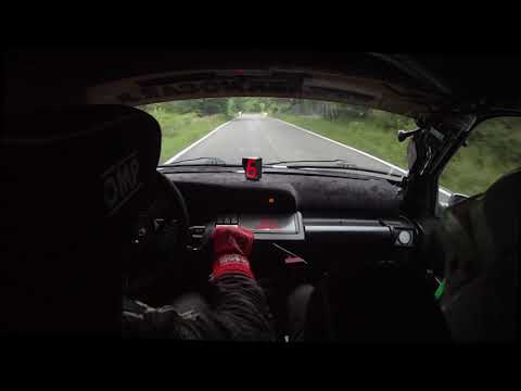 RALLY NAZIONALE DEL TARO 2019 FONTANI A. - PETTORELLI A.PS5 CLIO W.CLIO A7