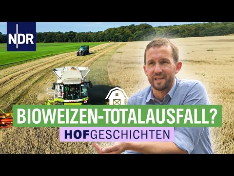Totalausfall im Bioweizen? | Hofgeschichten: Leben auf dem Land (244) | NDR