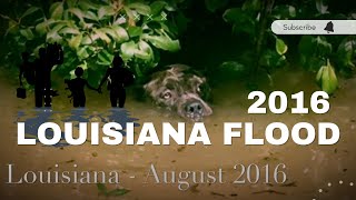 The Great Flood of Louisiana 2016 - Love is all you need