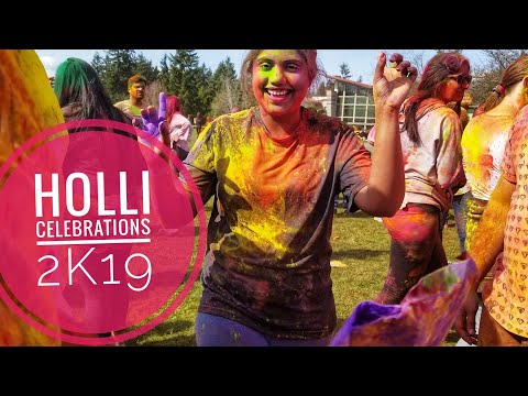 HOLLI CELEBRATIONS 2K19 in USA//telugu vlogs from USA/Shravani Life Diary