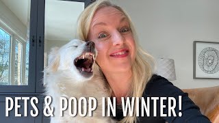 Pets & Poop in Winter:  tips and funnies!