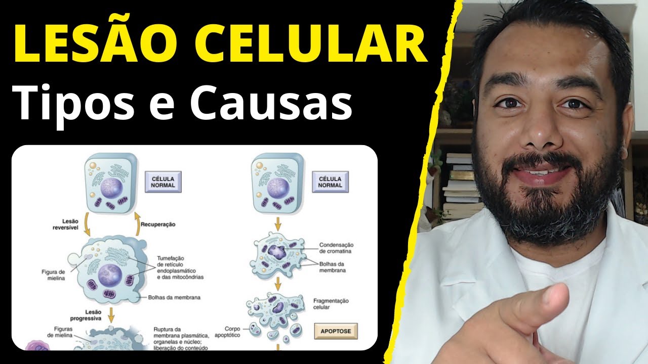 Causas de Lesão Celular | Tipos | Mecanismos | Reversível e Irreversível | Adaptação | Patologia