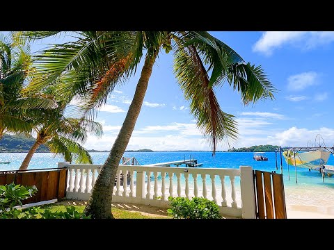 Breezy Beachfront Bliss: Tropical Patio Ambience From Matira Beach