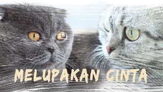 MELUPAKAN CINTA ft. TUBBY THE CAT (MV)