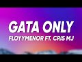 FloyyMenor FT Cris MJ GATA ONLY Letra Lyrics