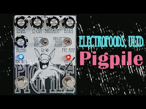 Electrofoods Pigpile || Guitar & Bass Demo