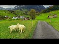 Life In Switzerland Countryside Relaxing Walk In The Most Beautiful Swiss Villages