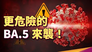 [黑特] 幹你娘剩你CDC在怕BA5