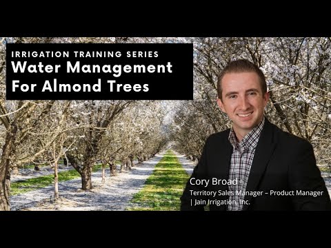 Water Management For Almond Trees with Cory Broad