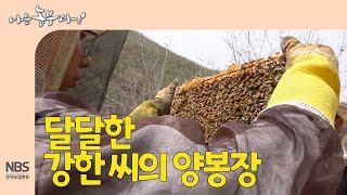 [나는농부다 247회] 달달한 강한 씨의 양봉장