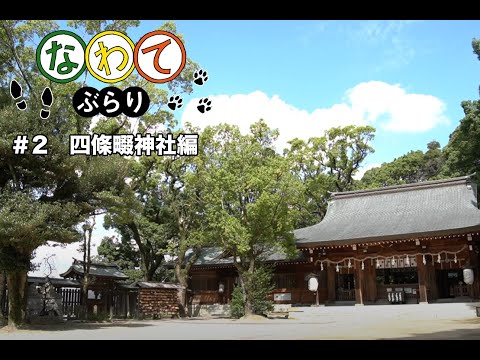 デジタルゲーム学科 【なわてぶらり】#2 四條畷神社編：双葉れいん