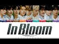 CORRECT ZEROBASEONE 제로베이스원 In Bloom Lyrics Color Coded Han Rom Eng