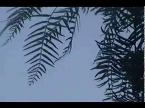 cat soup & drew the architect - gravēmind [video]