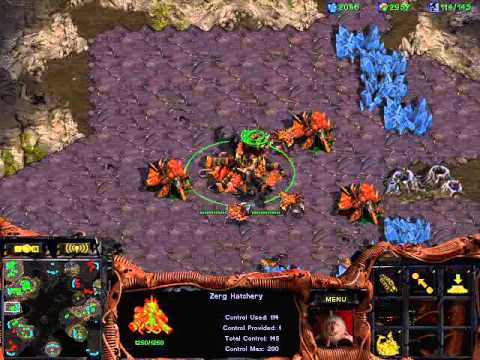 StarCraft Brood War [FPVOD] Bruce vs seahydra done