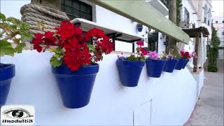 Mike Oldfield- Serpent Dream (1998)