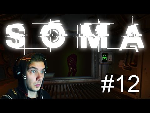 NIITÄ ON JOKAPUOLELLA!! - SOMA #12