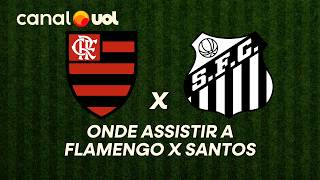 FLAMENGO X SANTOS: ONDE ASSISTIR À TRANSMISSÃO AO VIVO DO JOGO E HORÁRIO PELO BRASILEIRÃO