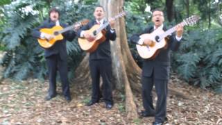 Los Elegidos De Siempre Tu Olvido César Augusto Torres Representante  CEL:310 387 15 00