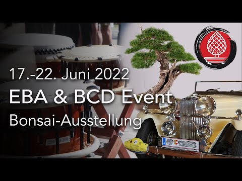 EBA und BCD Ausstellung 2022. Großartiger Bonsai-Event mit über 200 Exponaten in Augsburg.