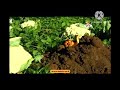 Mr Snail Funny Moments