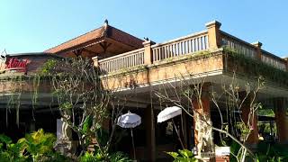 UBUD COTTAGE MALANG || Cottage yang sejuk dan indah
