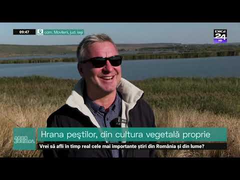 Delta Moldovei, rai piscicol. Hrana peștilor, din cultura vegetală proprie #AgroJurnal #Digi24