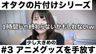 【オタクの片付けシリーズ】♯3　大きめのアニメグッズを手放す