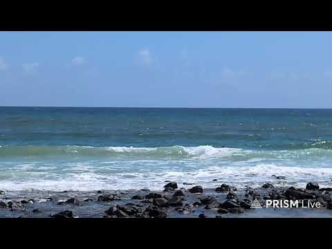 LIVE: 2026 Burleigh Single Fin Festival - Day 1