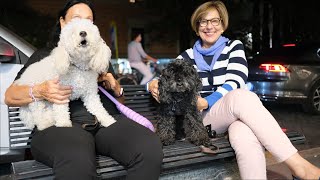 Roma Virtual Tour. Passeggiata serale in Via Cola di Rienzo. Italia. Slow TV 4K HDR