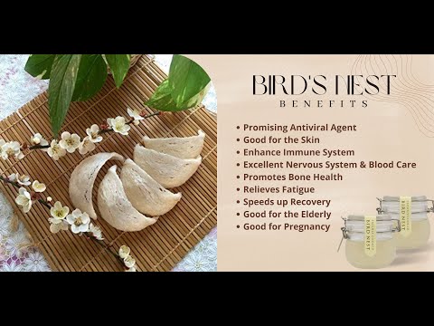 YouTube video about: Can pregnant lady eat bird nest?