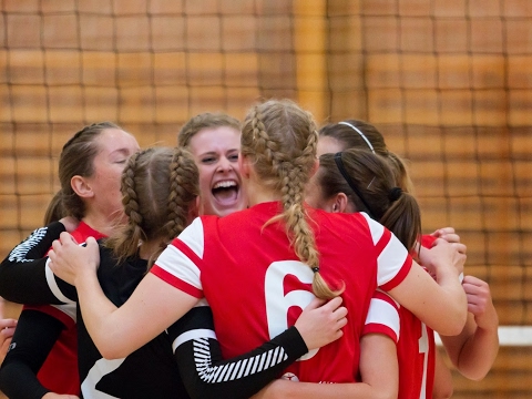 Aalborg Volley - Livestream