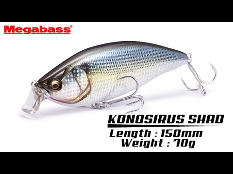 Vobler Megabass Konosirus Shad 15cm 70g DO Chart Konoshiro F