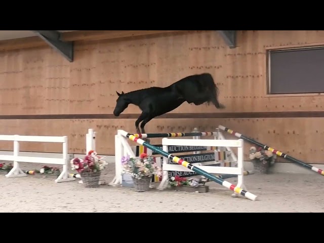 Jumping