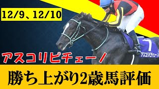 【12/9,10２歳戦評価】アスコリピチェーノ、無敗の3連勝でＧ１レコード制覇！！！ジオグリフの妹も勝ち上がり。