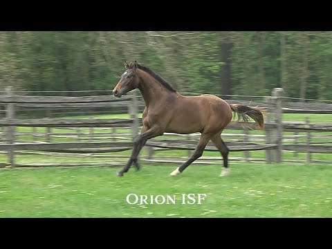 Orion ISF at Iron Spring Farm, May 2020