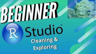 Beginner R studio: Clean Data | Feature Extraction | Data Exploration