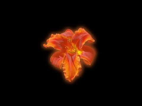 ✩ Random Sped Up & Slowed edit audios bc im addicted to tiktok pt25 + timestamps !! ✩