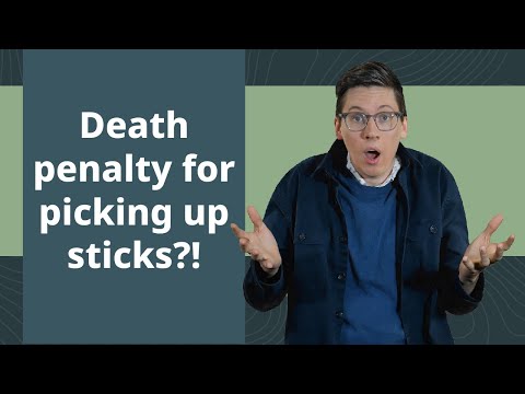 Death for Picking Up Sticks on the Sabbath?? (Numbers 15 Explained)