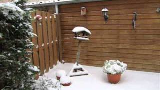 I'm dreaming of a white christmas