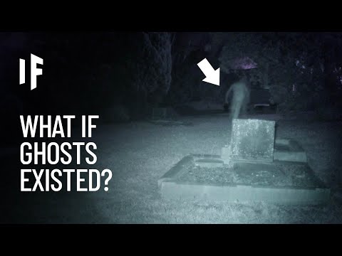 What If Ghosts Were Real?