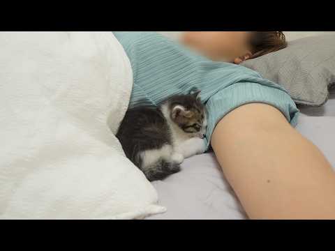 YouTube 썸네일