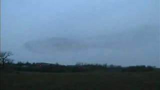 Starlings are beautiful.wmv